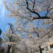 ヒメ日記 2026/04/03 15:14 投稿 和田 西川口デッドボール