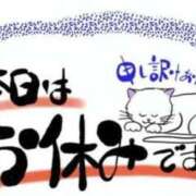 ヒメ日記 2026/05/15 07:08 投稿 和田 西川口デッドボール