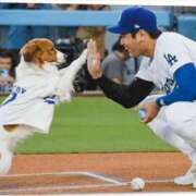 ヒメ日記 2026/06/11 10:38 投稿 和田 西川口デッドボール