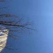 ヒメ日記 2025/02/17 12:08 投稿 辻しなの 全裸の極みorドッキング痴漢電車