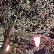 ヒメ日記 2025/04/09 19:12 投稿 辻しなの 全裸の極みorドッキング痴漢電車