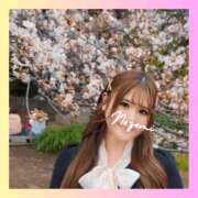 ヒメ日記 2025/03/03 17:15 投稿 のぞみ 沼津人妻花壇