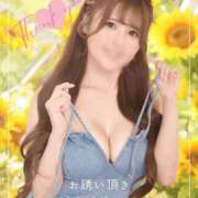 ヒメ日記 2025/07/18 08:37 投稿 のぞみ 沼津人妻花壇