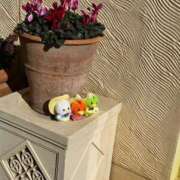 ヒメ日記 2026/04/27 15:58 投稿 瀬口らいち 恋する妻たち