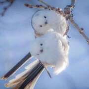 ヒメ日記 2024/12/28 16:55 投稿 まりか 英乃國屋