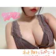 ヒメ日記 2025/04/15 19:31 投稿 チセ 【福岡デリヘル】20代・30代★博多で評判のお店はココです！