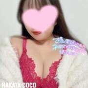 ヒメ日記 2026/10/13 14:38 投稿 チセ 【福岡デリヘル】20代・30代★博多で評判のお店はココです！