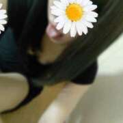 ヒメ日記 2025/10/30 12:49 投稿 凪あやの『アダルト』 ディオーネ