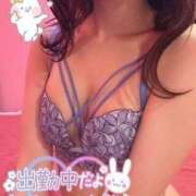 ヒメ日記 2024/12/23 20:15 投稿 ゆのん Gossip girl成田店