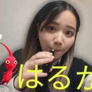 ヒメ日記 2025/03/12 21:51 投稿 はるか サンキュー厚木店