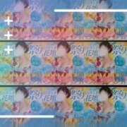 ヒメ日記 2025/07/31 13:01 投稿 もえ 沼津人妻花壇