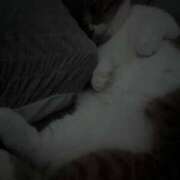 ヒメ日記 2024/12/15 11:40 投稿 ♡ひなの先生♡ 梅田ムチぽよ女学院