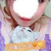 ヒメ日記 2024/12/23 20:10 投稿 ♡ひなの先生♡ 梅田ムチぽよ女学院