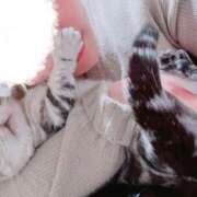 ヒメ日記 2024/12/24 19:50 投稿 ♡ひなの先生♡ 梅田ムチぽよ女学院