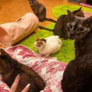 ヒメ日記 2024/12/27 17:40 投稿 ♡ひなの先生♡ 梅田ムチぽよ女学院