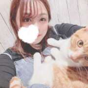 ヒメ日記 2024/12/29 19:50 投稿 ♡ひなの先生♡ 梅田ムチぽよ女学院