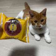 ヒメ日記 2025/01/08 16:40 投稿 ♡ひなの先生♡ 梅田ムチぽよ女学院