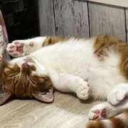 ヒメ日記 2025/02/04 20:30 投稿 ♡ひなの先生♡ 梅田ムチぽよ女学院