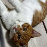 ヒメ日記 2025/02/16 18:50 投稿 ♡ひなの先生♡ 梅田ムチぽよ女学院