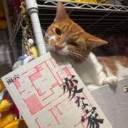 ヒメ日記 2025/02/17 07:20 投稿 ♡ひなの先生♡ 梅田ムチぽよ女学院