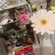 ヒメ日記 2025/02/17 20:20 投稿 ♡ひなの先生♡ 梅田ムチぽよ女学院