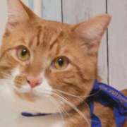 ヒメ日記 2025/02/20 23:50 投稿 ♡ひなの先生♡ 梅田ムチぽよ女学院