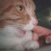 ヒメ日記 2025/02/23 12:40 投稿 ♡ひなの先生♡ 梅田ムチぽよ女学院