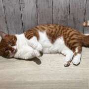 ヒメ日記 2025/02/26 09:29 投稿 ♡ひなの先生♡ 梅田ムチぽよ女学院