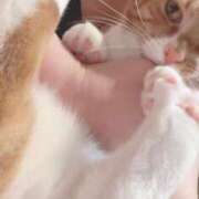 ヒメ日記 2025/03/09 03:40 投稿 ♡ひなの先生♡ 梅田ムチぽよ女学院