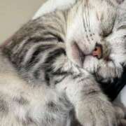 ヒメ日記 2025/03/09 13:10 投稿 ♡ひなの先生♡ 梅田ムチぽよ女学院