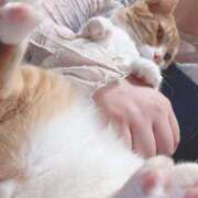 ヒメ日記 2025/03/10 01:20 投稿 ♡ひなの先生♡ 梅田ムチぽよ女学院