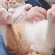 ヒメ日記 2025/03/12 01:00 投稿 ♡ひなの先生♡ 梅田ムチぽよ女学院