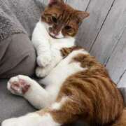 ヒメ日記 2025/03/13 17:56 投稿 ♡ひなの先生♡ 梅田ムチぽよ女学院