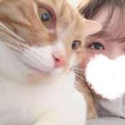 ヒメ日記 2025/03/14 17:07 投稿 ♡ひなの先生♡ 梅田ムチぽよ女学院