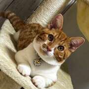 ヒメ日記 2025/03/16 12:50 投稿 ♡ひなの先生♡ 梅田ムチぽよ女学院