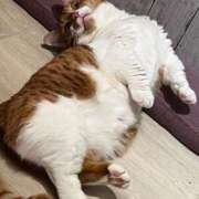 ヒメ日記 2025/03/17 13:00 投稿 ♡ひなの先生♡ 梅田ムチぽよ女学院