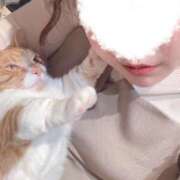 ヒメ日記 2025/03/18 02:10 投稿 ♡ひなの先生♡ 梅田ムチぽよ女学院