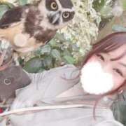 ヒメ日記 2025/03/18 18:20 投稿 ♡ひなの先生♡ 梅田ムチぽよ女学院