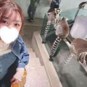 ヒメ日記 2025/03/20 19:20 投稿 ♡ひなの先生♡ 梅田ムチぽよ女学院