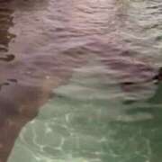 ヒメ日記 2025/03/21 00:47 投稿 ♡ひなの先生♡ 梅田ムチぽよ女学院