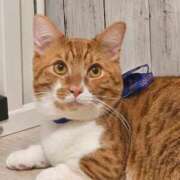 ヒメ日記 2025/03/23 03:10 投稿 ♡ひなの先生♡ 梅田ムチぽよ女学院