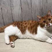 ヒメ日記 2025/03/25 12:50 投稿 ♡ひなの先生♡ 梅田ムチぽよ女学院