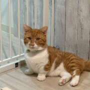 ヒメ日記 2025/03/29 11:27 投稿 ♡ひなの先生♡ 梅田ムチぽよ女学院