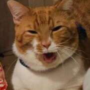 ヒメ日記 2025/03/29 13:10 投稿 ♡ひなの先生♡ 梅田ムチぽよ女学院