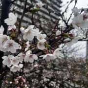 ヒメ日記 2025/03/30 14:58 投稿 ♡ひなの先生♡ 梅田ムチぽよ女学院