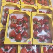 ヒメ日記 2025/04/01 01:30 投稿 ♡ひなの先生♡ 梅田ムチぽよ女学院