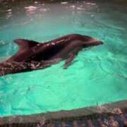 ヒメ日記 2025/04/01 08:20 投稿 ♡ひなの先生♡ 梅田ムチぽよ女学院