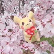 ヒメ日記 2025/04/01 11:55 投稿 ♡ひなの先生♡ 梅田ムチぽよ女学院