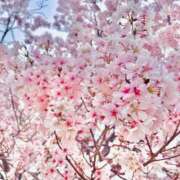 ヒメ日記 2025/04/01 21:50 投稿 ♡ひなの先生♡ 梅田ムチぽよ女学院