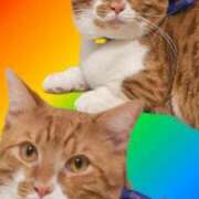 ヒメ日記 2025/04/05 00:50 投稿 ♡ひなの先生♡ 梅田ムチぽよ女学院